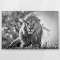 AC-030W020