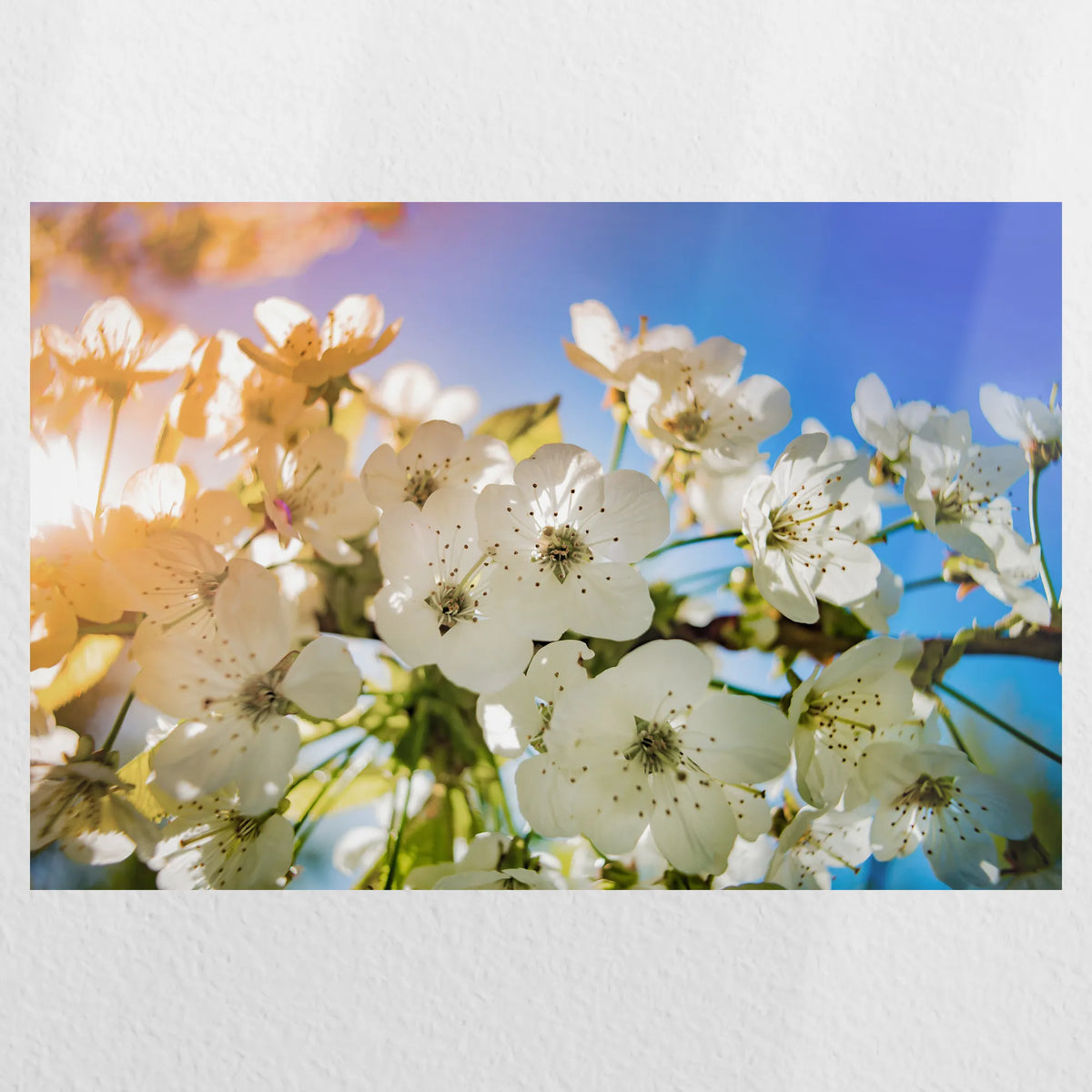 PO-060W040