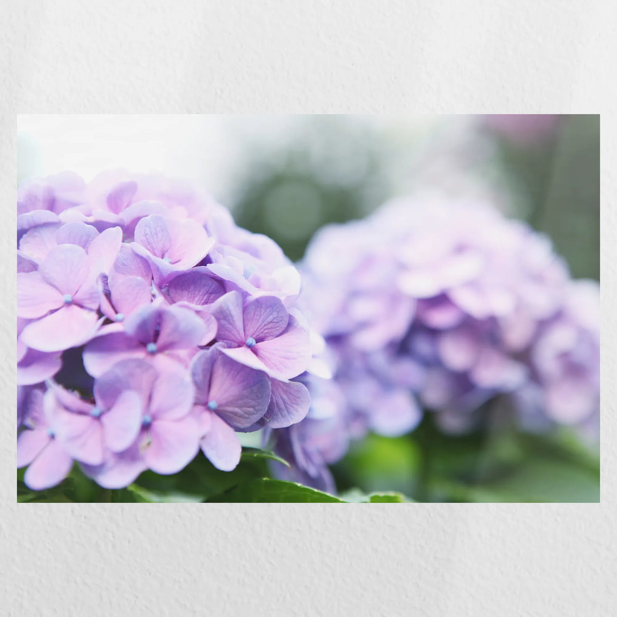 PO-045W030