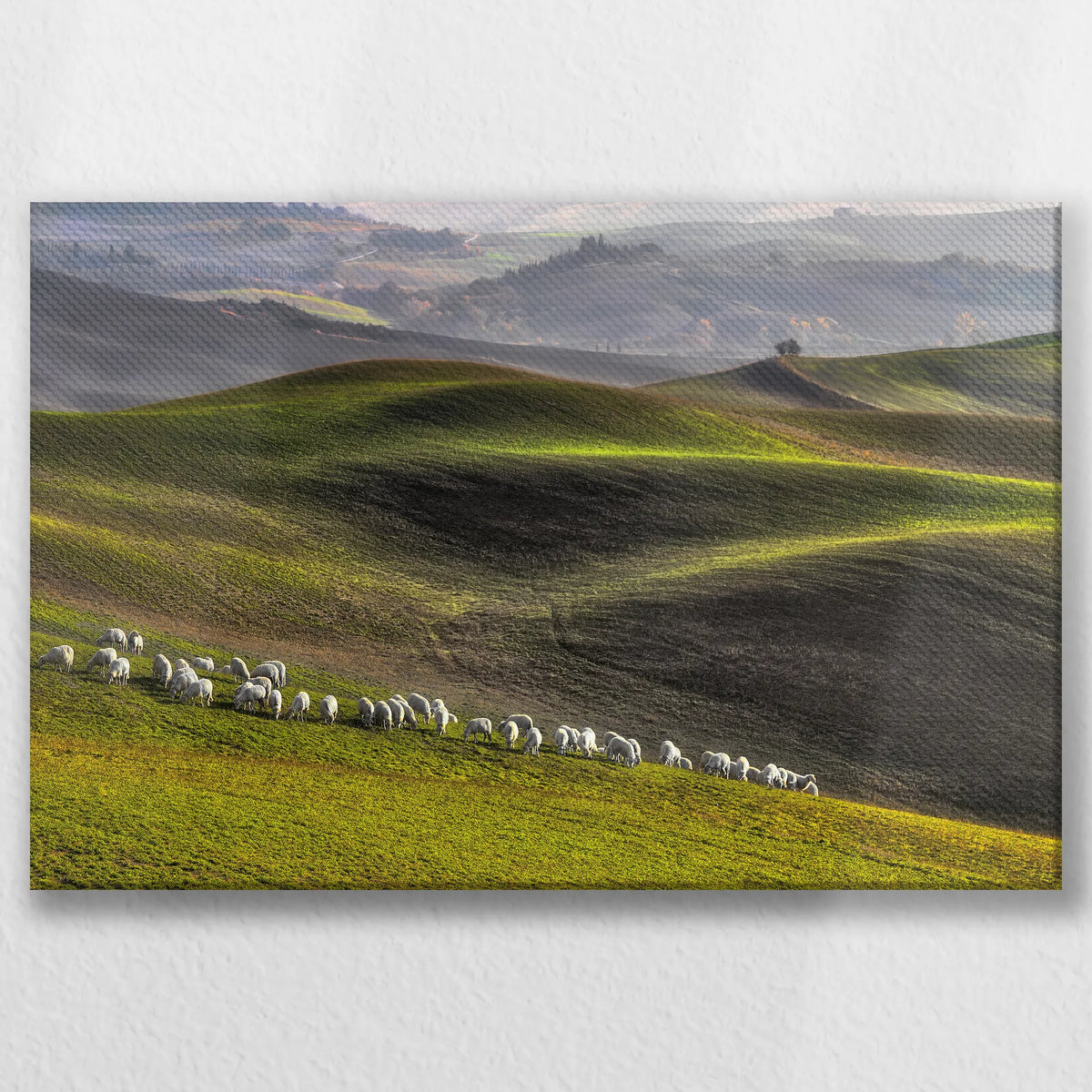 LW-045W030