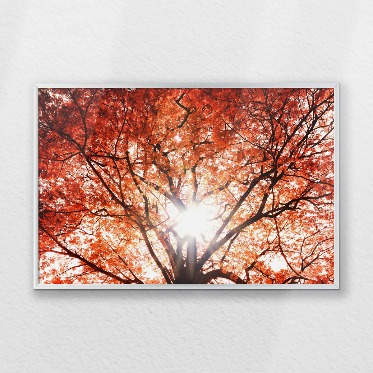 PS-060W040