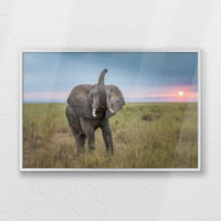 PS-060W040