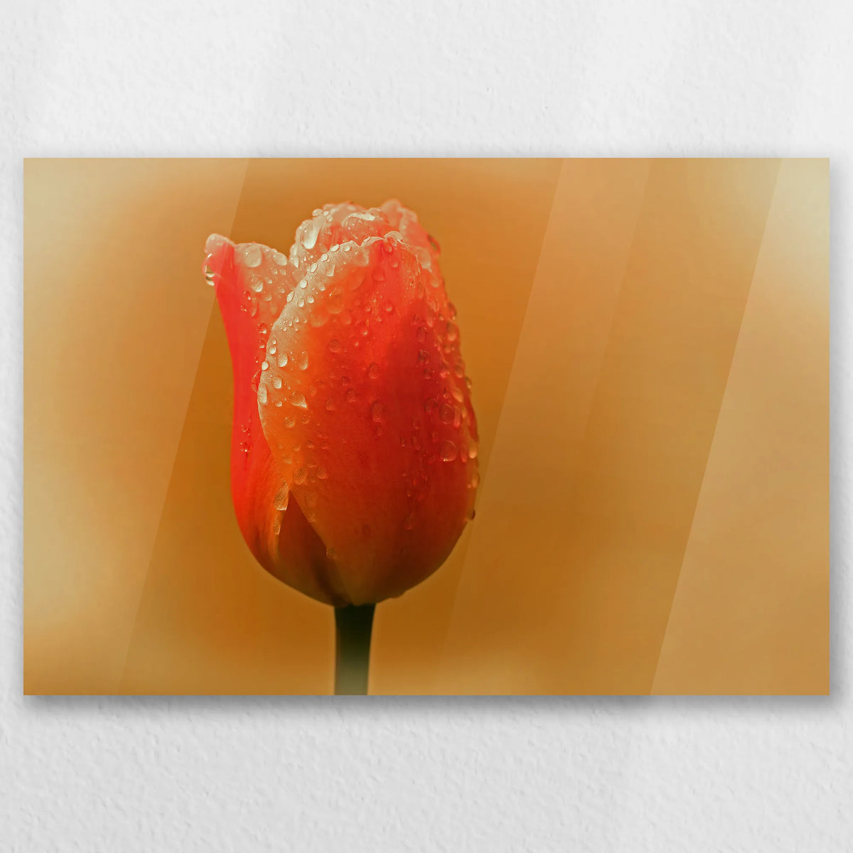 AC-045W030