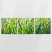 LW-270S090