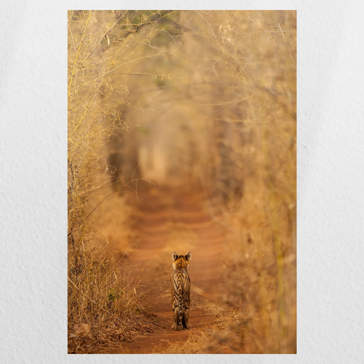 PO-040W060
