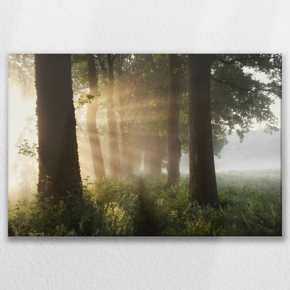 LW-075W050