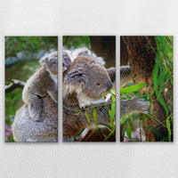 LW-120R080