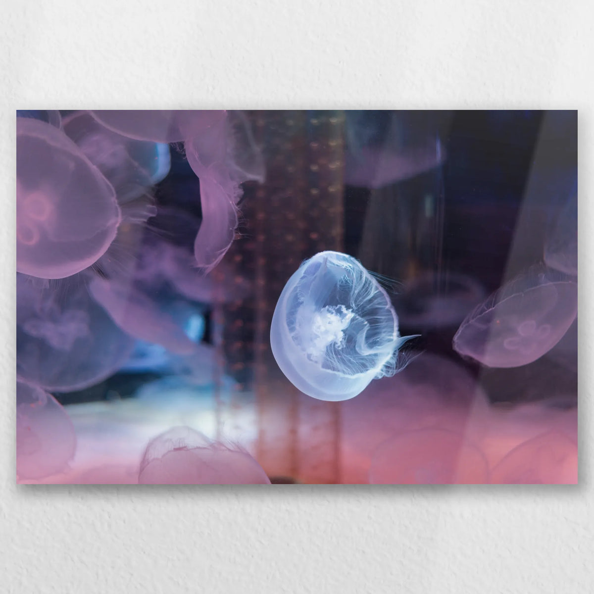 AL-030W020