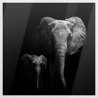 PO-060W060