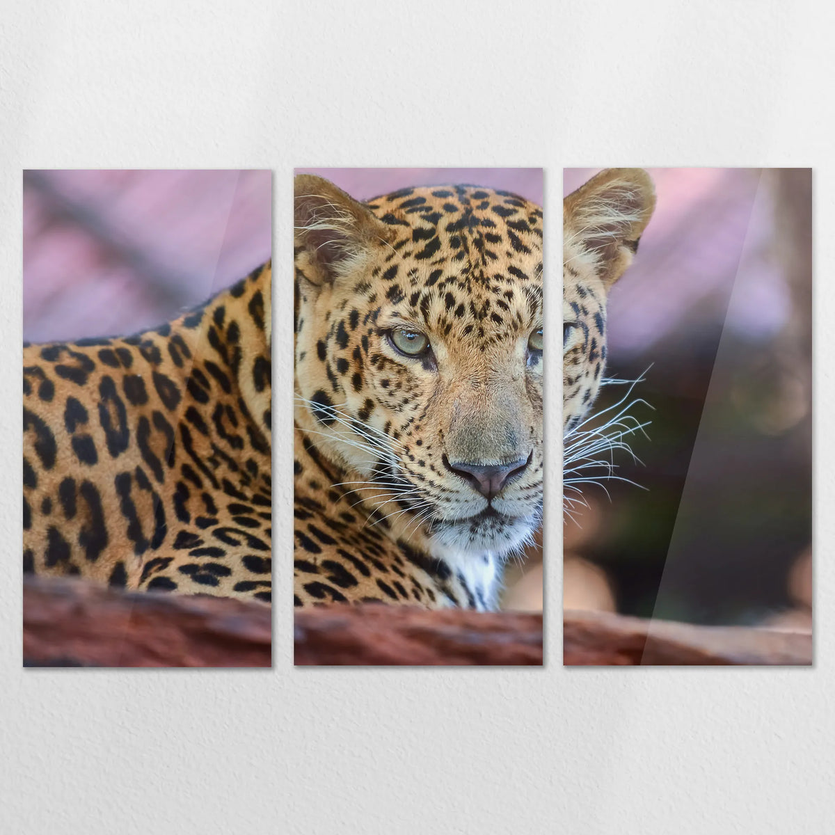 AC-210R140