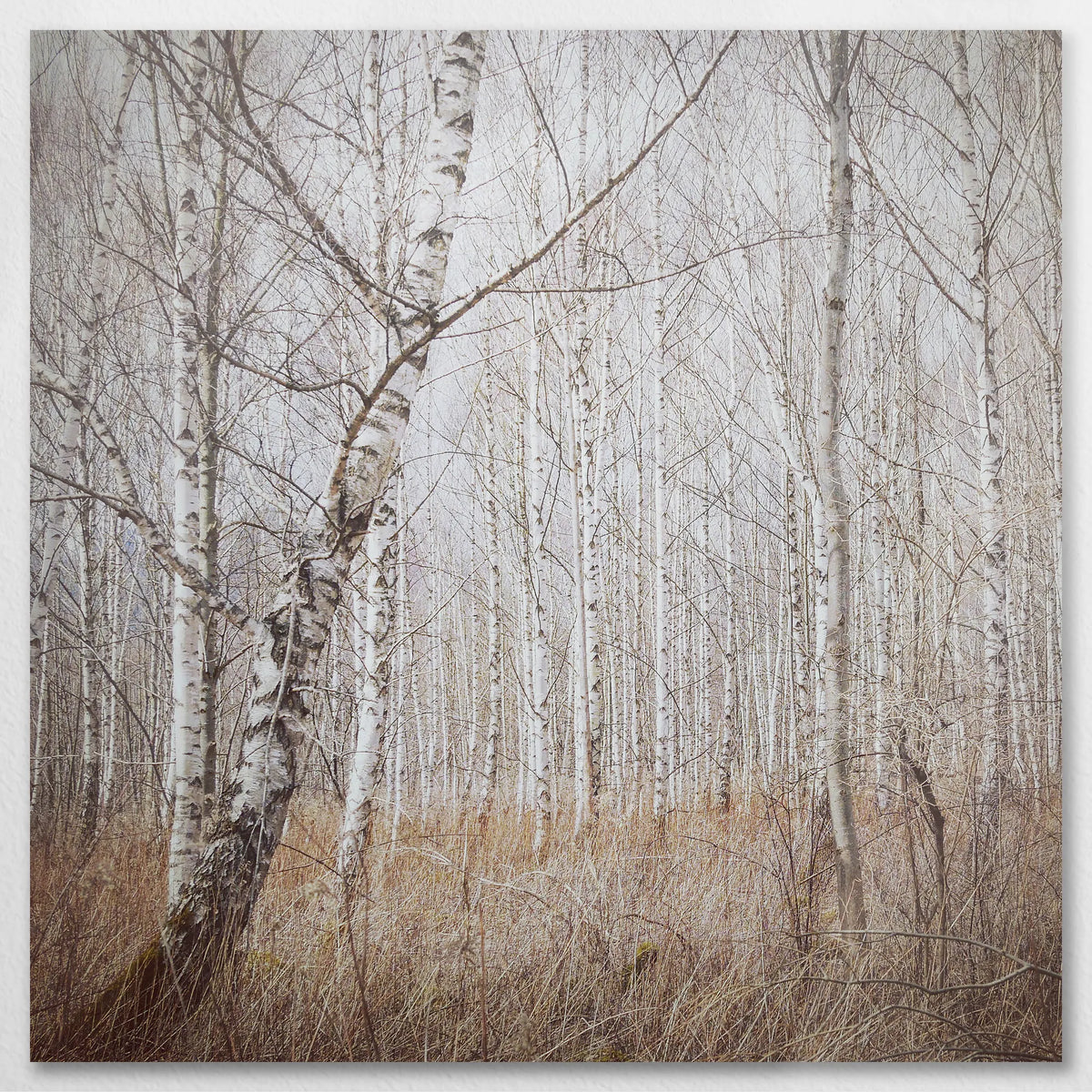 AC-090W090
