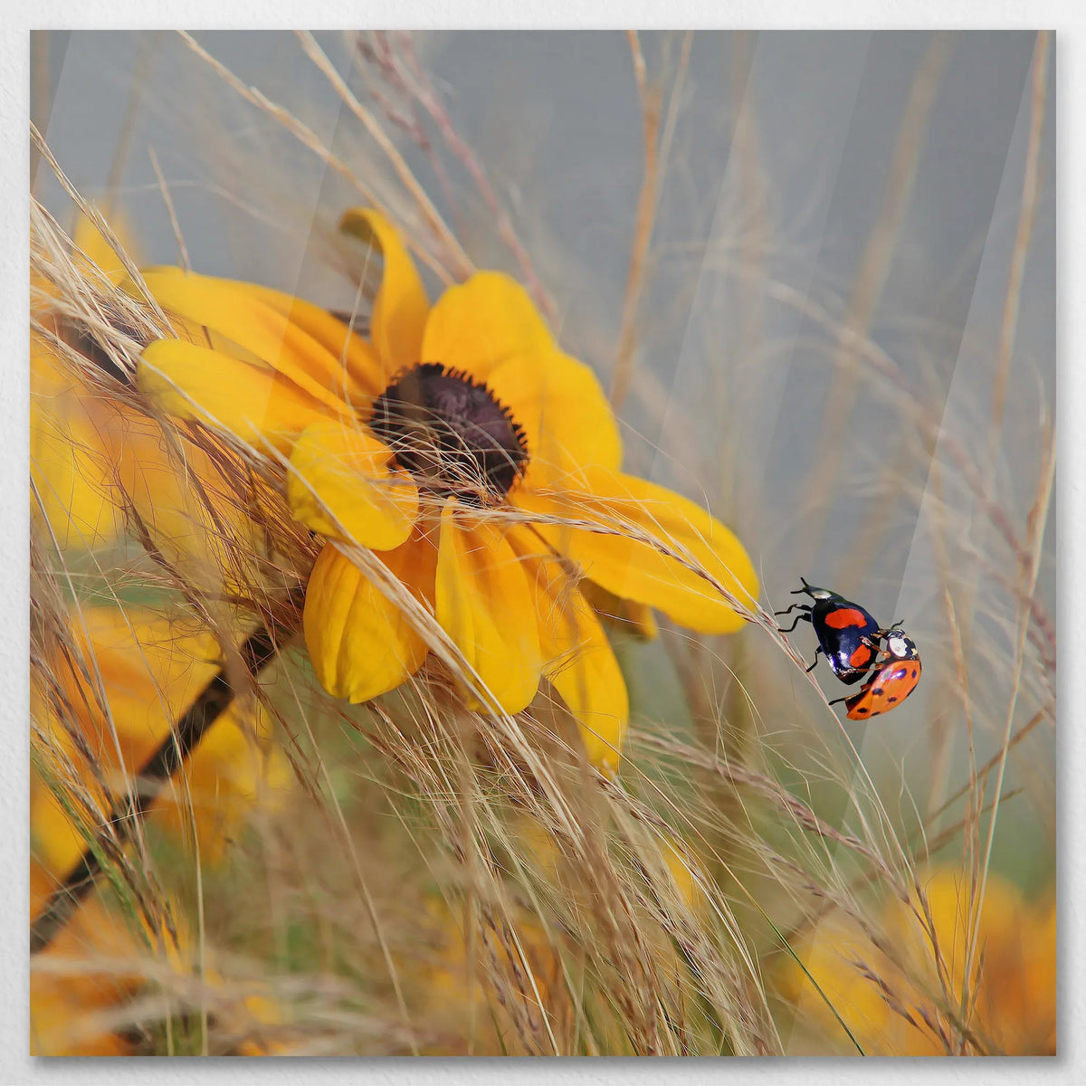 AC-090W090
