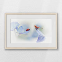 PNP060W040