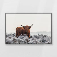 PB-100W070
