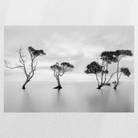 PO-045W030