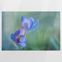PO-075W050