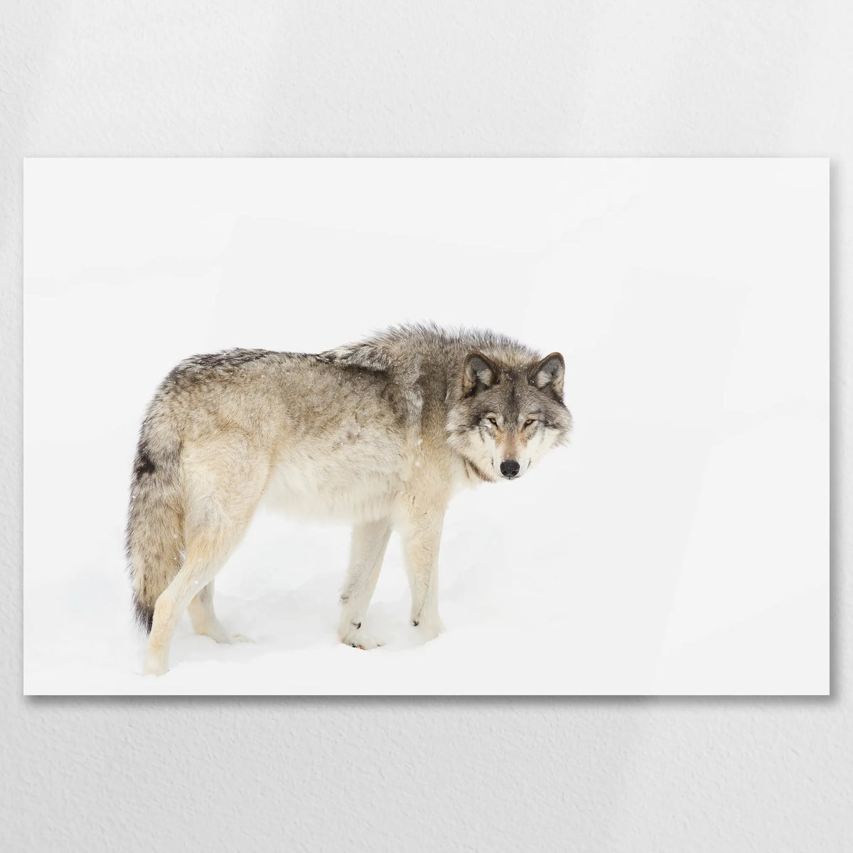 AC-090W060