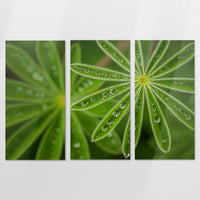 AL-180R120