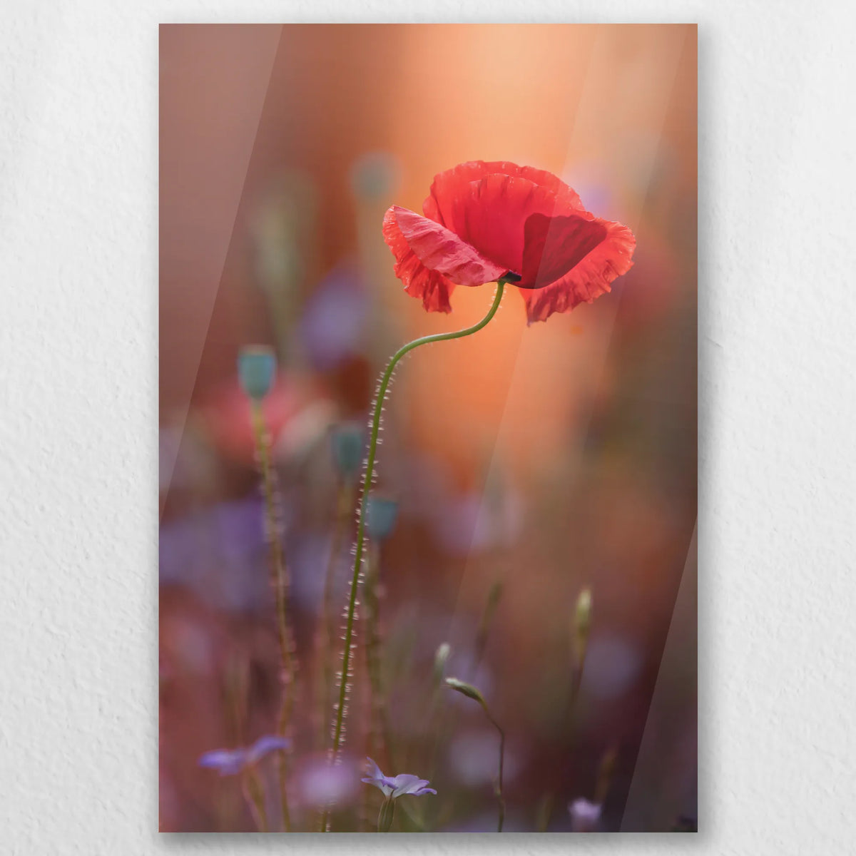 AC-020W030