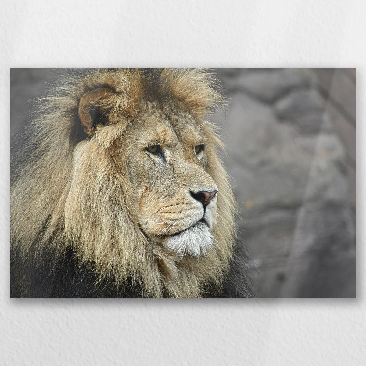 AL-045W030
