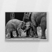 LWW120W080
