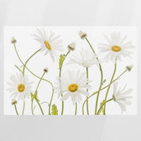 PO-075W050