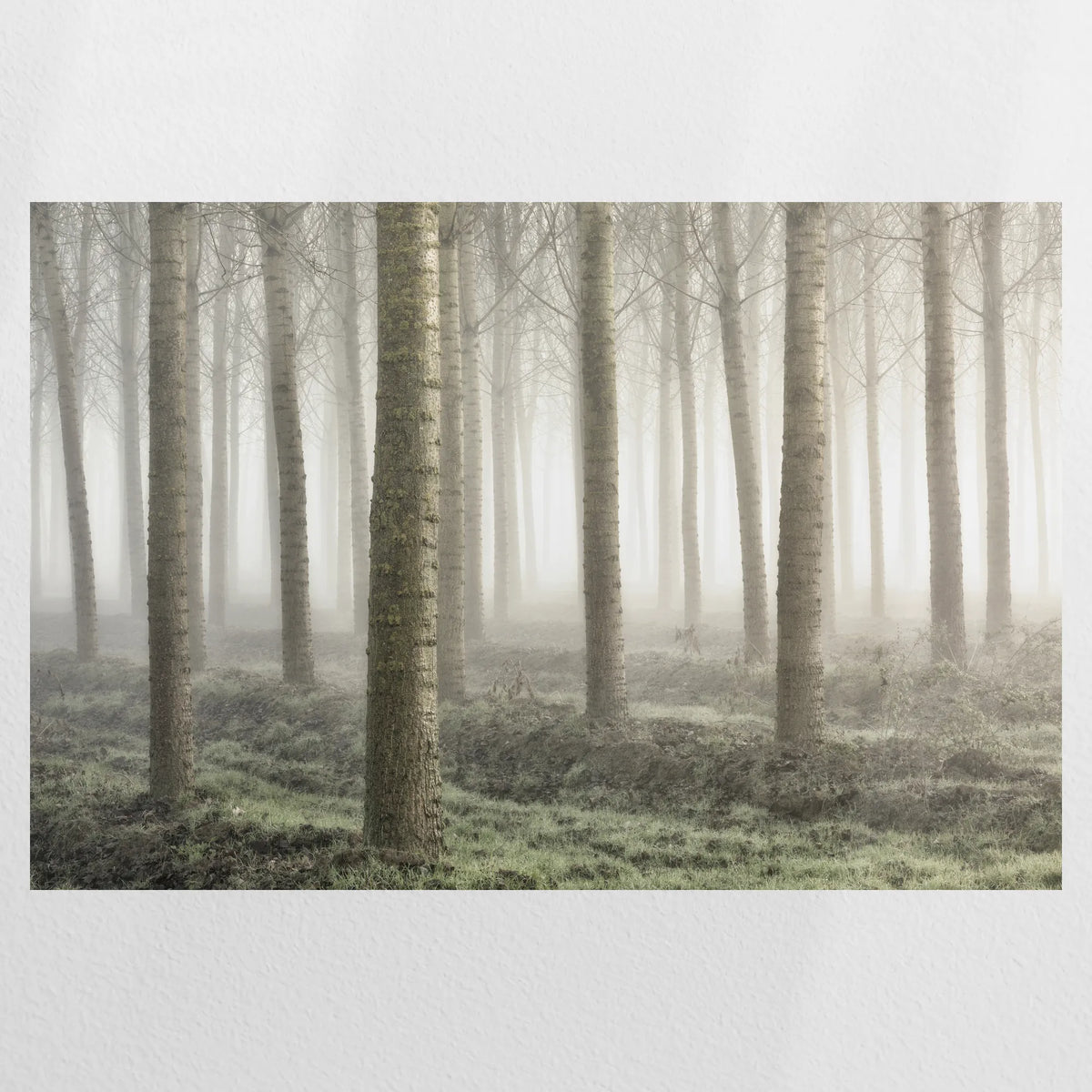 PO-075W050
