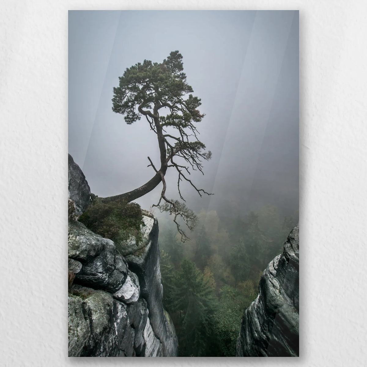 AC-020W030