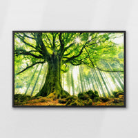 LWB120W080