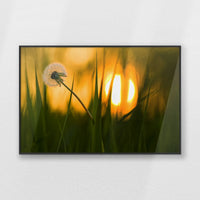 PB-093W062