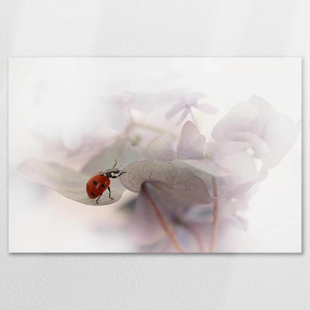 AL-120W080