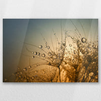 AC-030W020