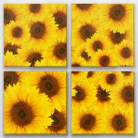 LW-100V100