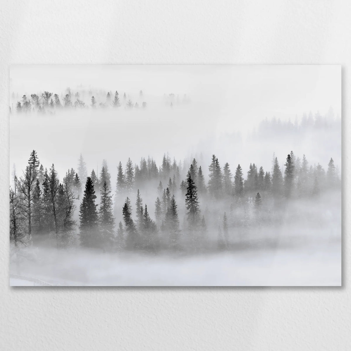 AL-075W050