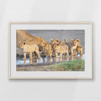 PNP093W062