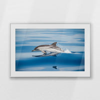 PSP120W080