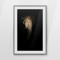 PBP070W100