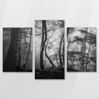 AC-120T080