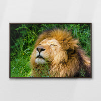 LWN120W080