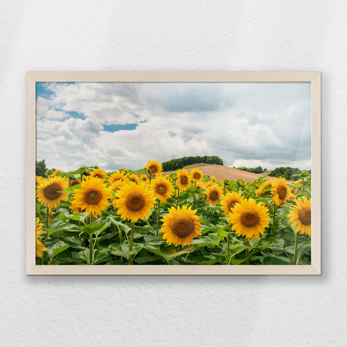 PN-060W040