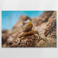 AL-090W060