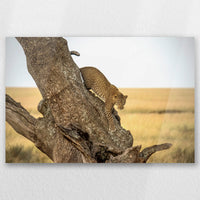 AC-030W020