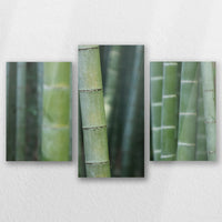 AC-060T040