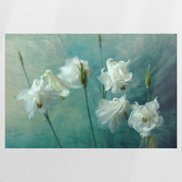 PO-075W050