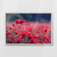 PN-100W070