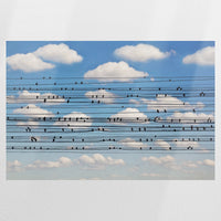 PO-120W080