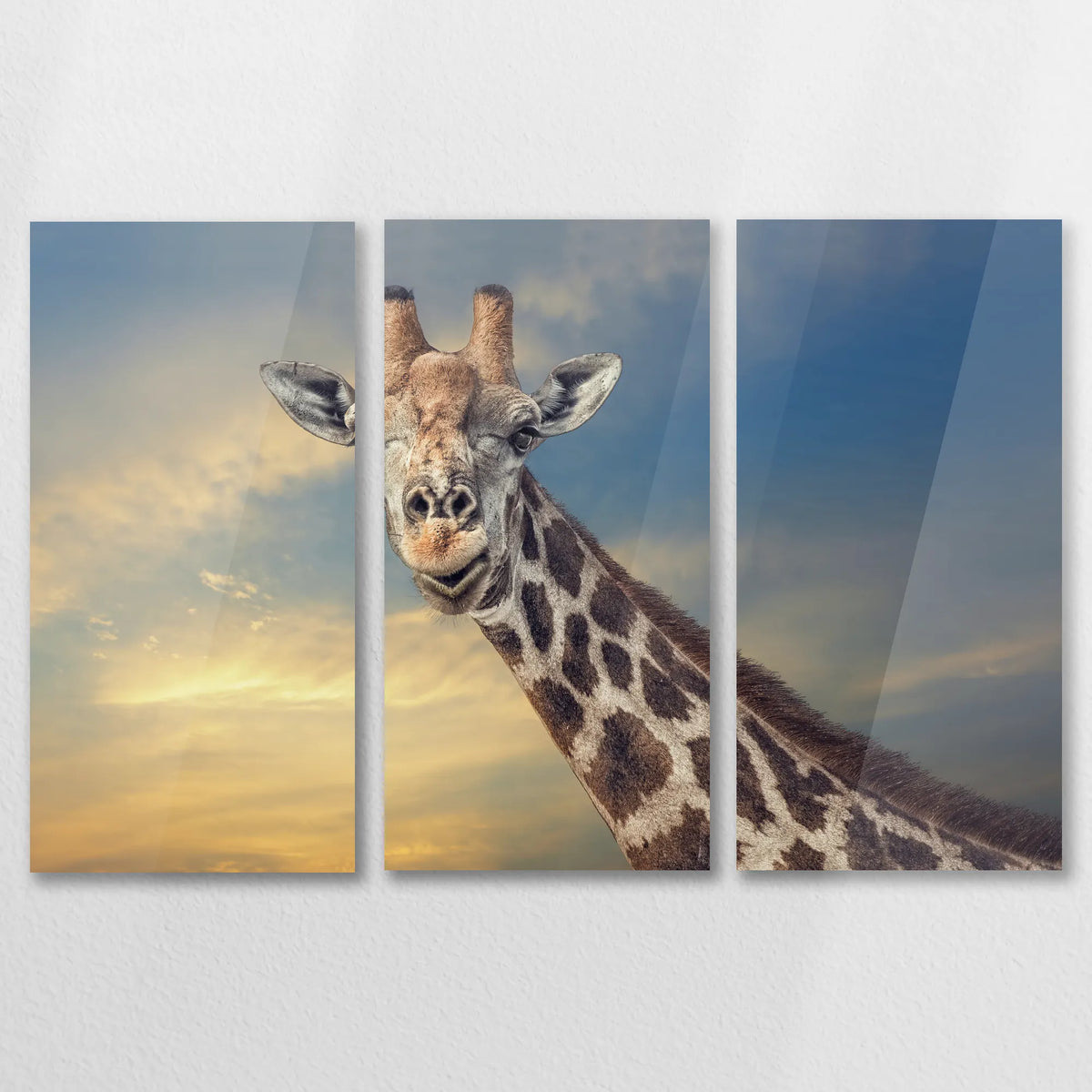 AC-090R060