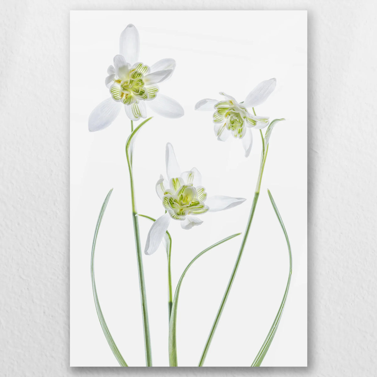AL-040W060