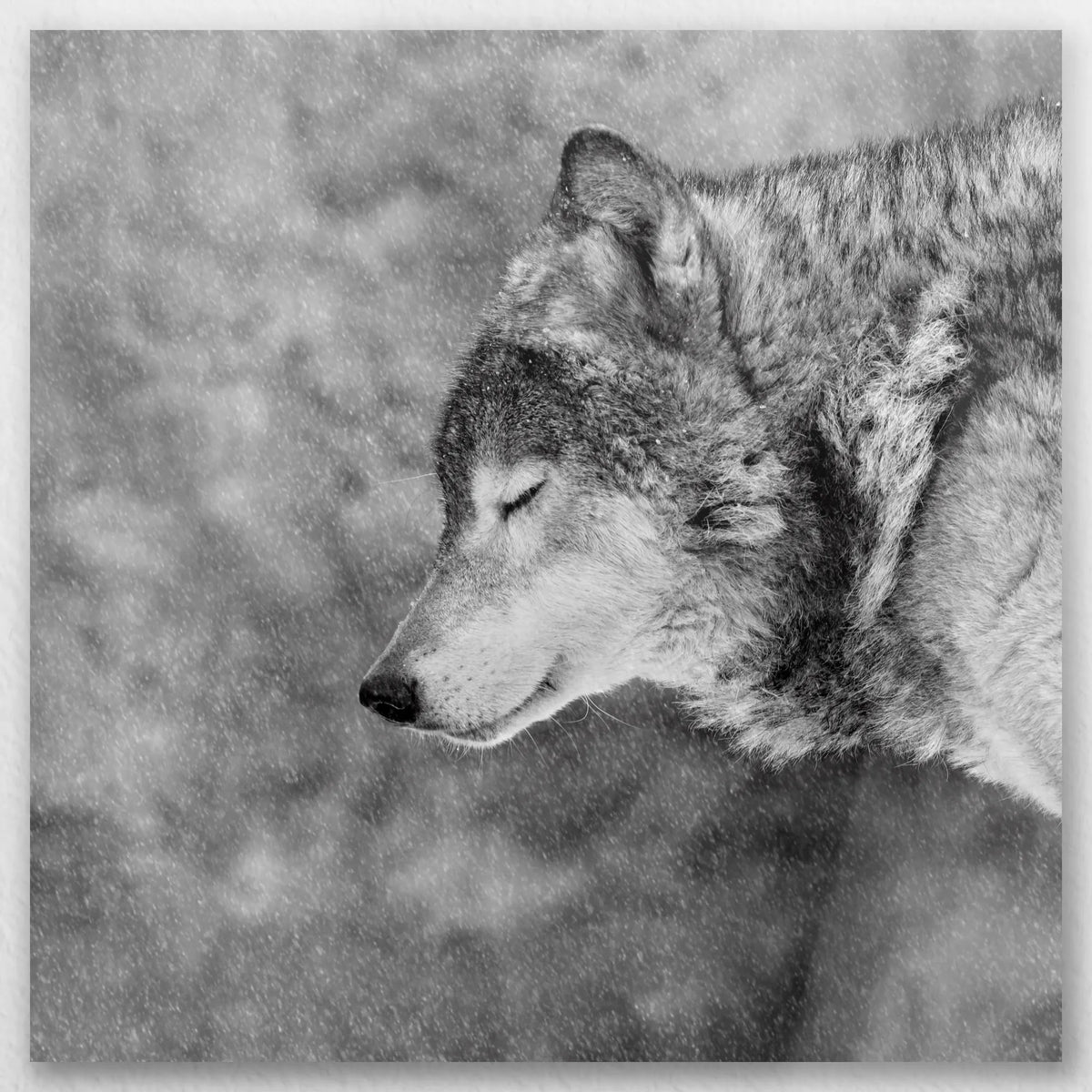 AL-040W040