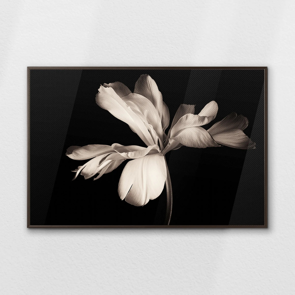 LWN120W080